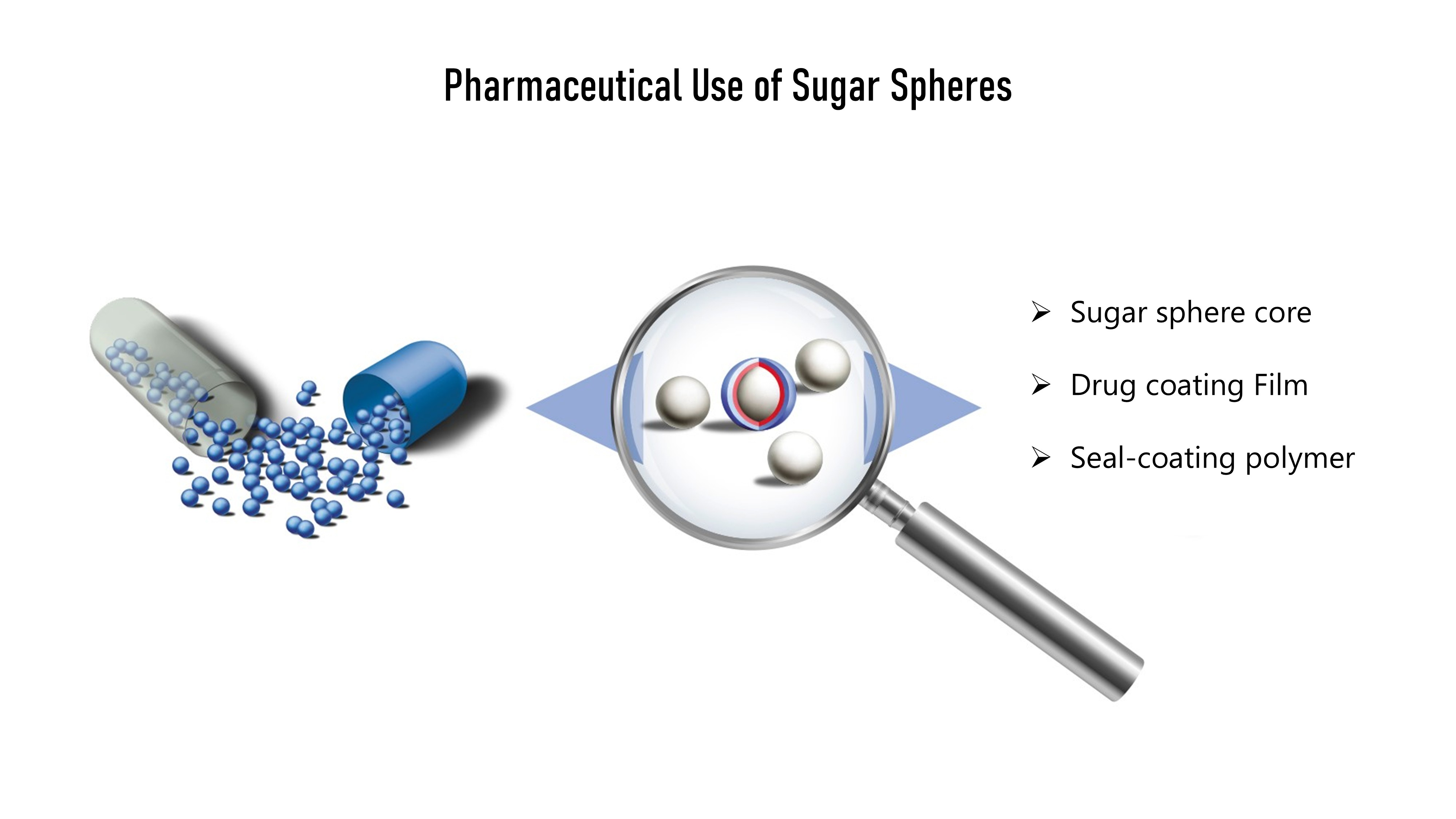 Illustration showing pharmaceutical use of sugar spheres with a capsule releasing blue sugar spheres, and a magnifying glass highlighting a sugar sphere core, drug coating film, and seal-coating polymer.