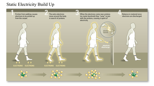 A body with a cell, nucleus, chromosome, and labeled DNA